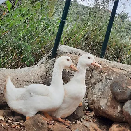 Farm stay Casale Rufo