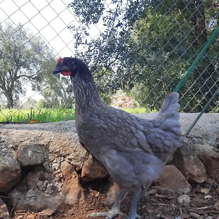 Farm stay Casale Rufo