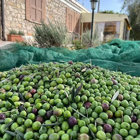 Casale Rufo Sonnino