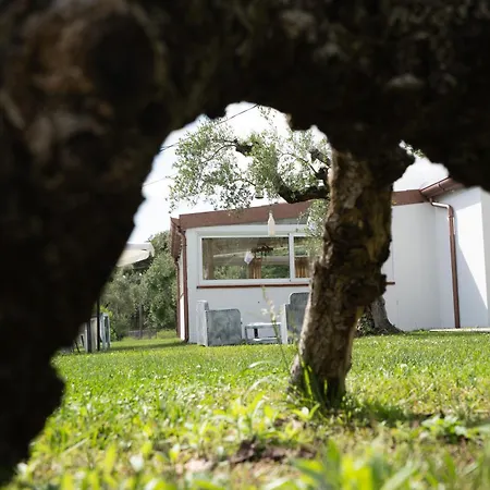 Casale Rufo Alloggio per agriturismo