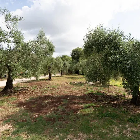 Alloggio per agriturismo Casale Rufo