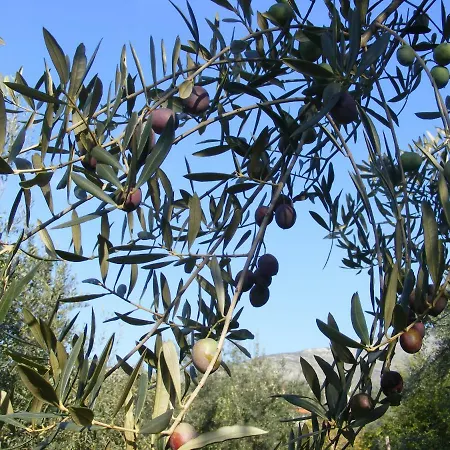 Farm stay Casale Rufo Sonnino