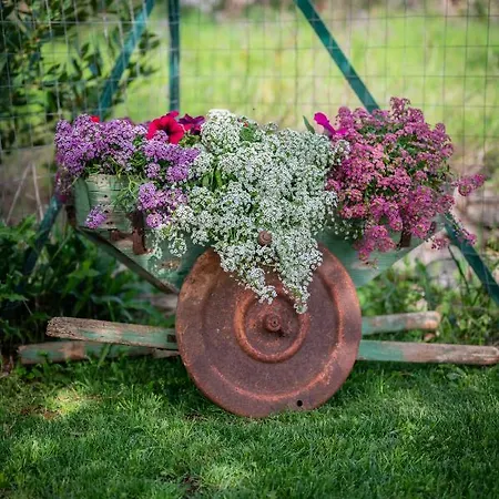 Farm stay Casale Rufo Sonnino