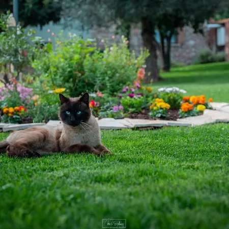 Farm stay Casale Rufo Sonnino